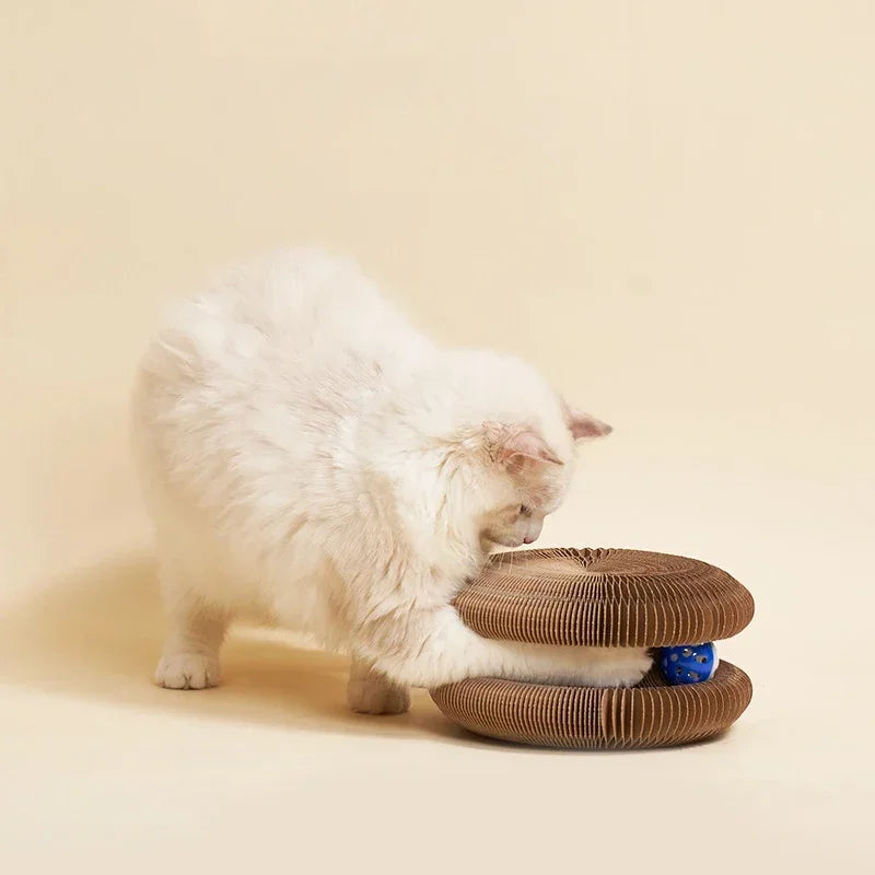Gioco Cat Scratch Magico