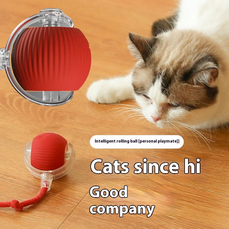 Palla Magica per Gatti