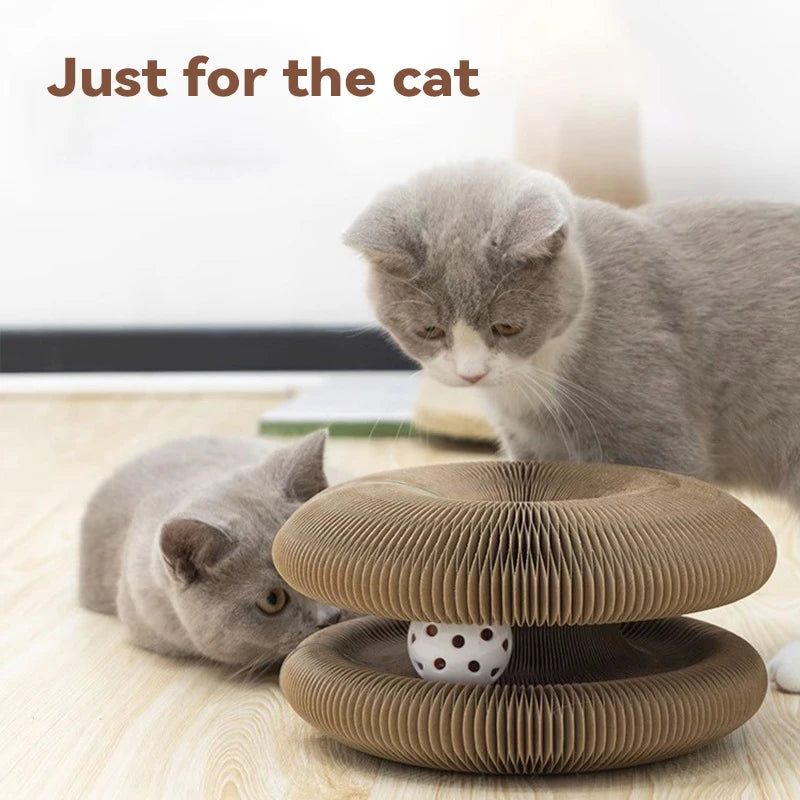 Gioco Cat Scratch Magico