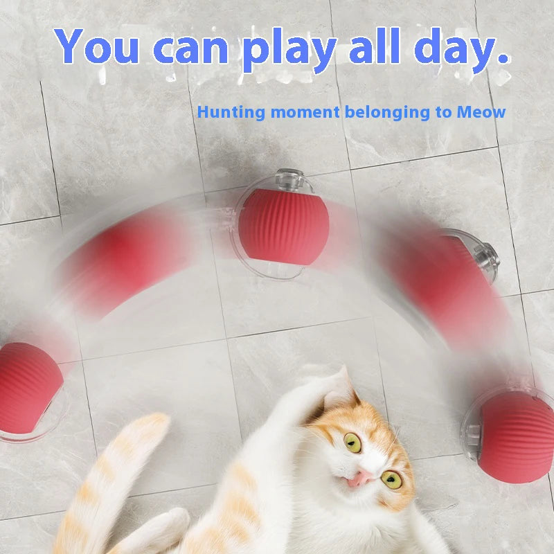 Palla Magica per Gatti