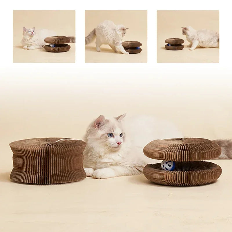 Gioco Cat Scratch Magico